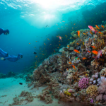 Best Part of Great Barrier Reef: Unveiling Nature's Splendor