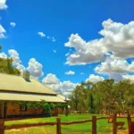 Exploring the Flora of the Larapinta Trail