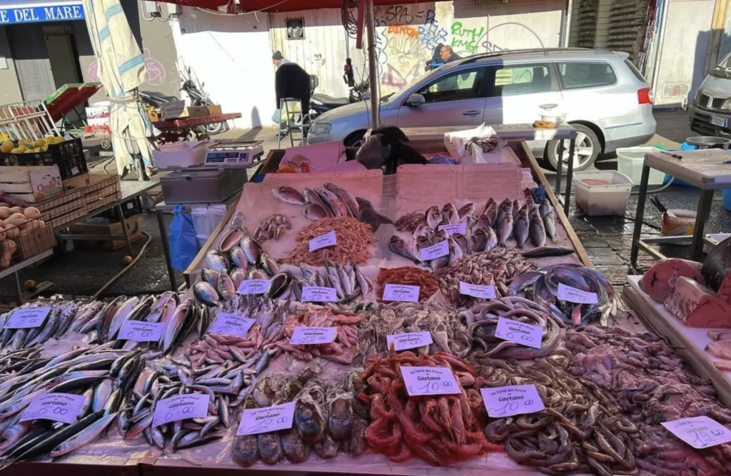 Fish Market