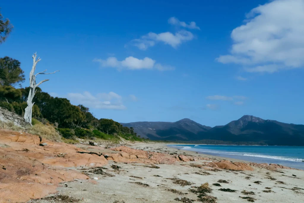 Hazards Beach trip