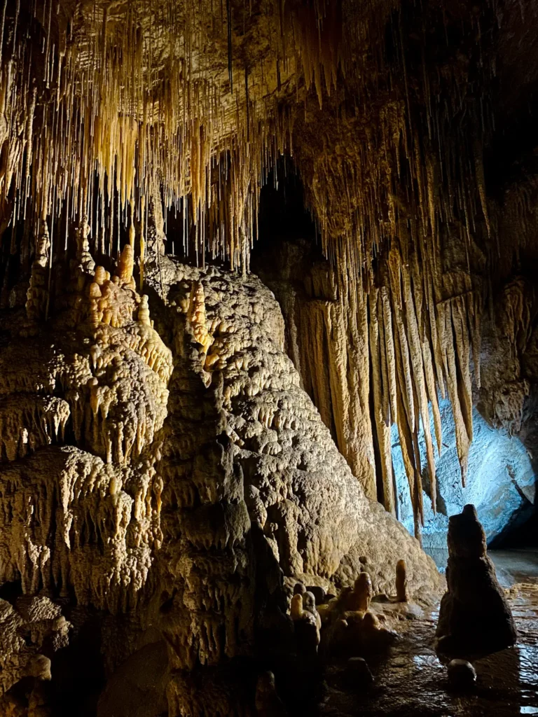How much is it to get into Hastings Caves?