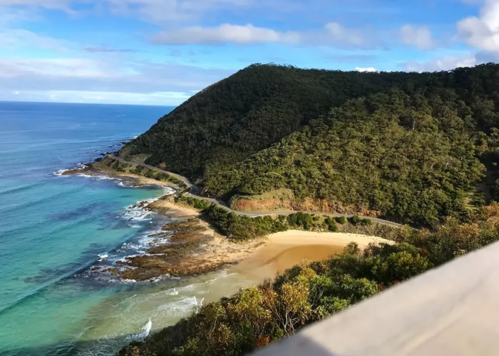 Lorne’s Teddies Lookout