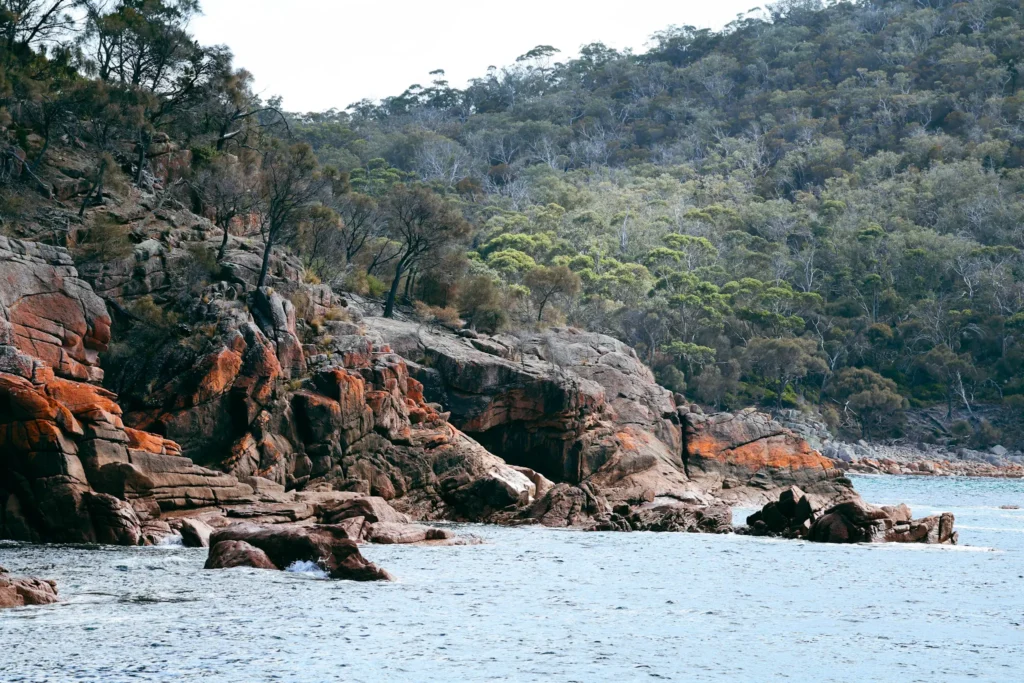 Sleepy bay trip
