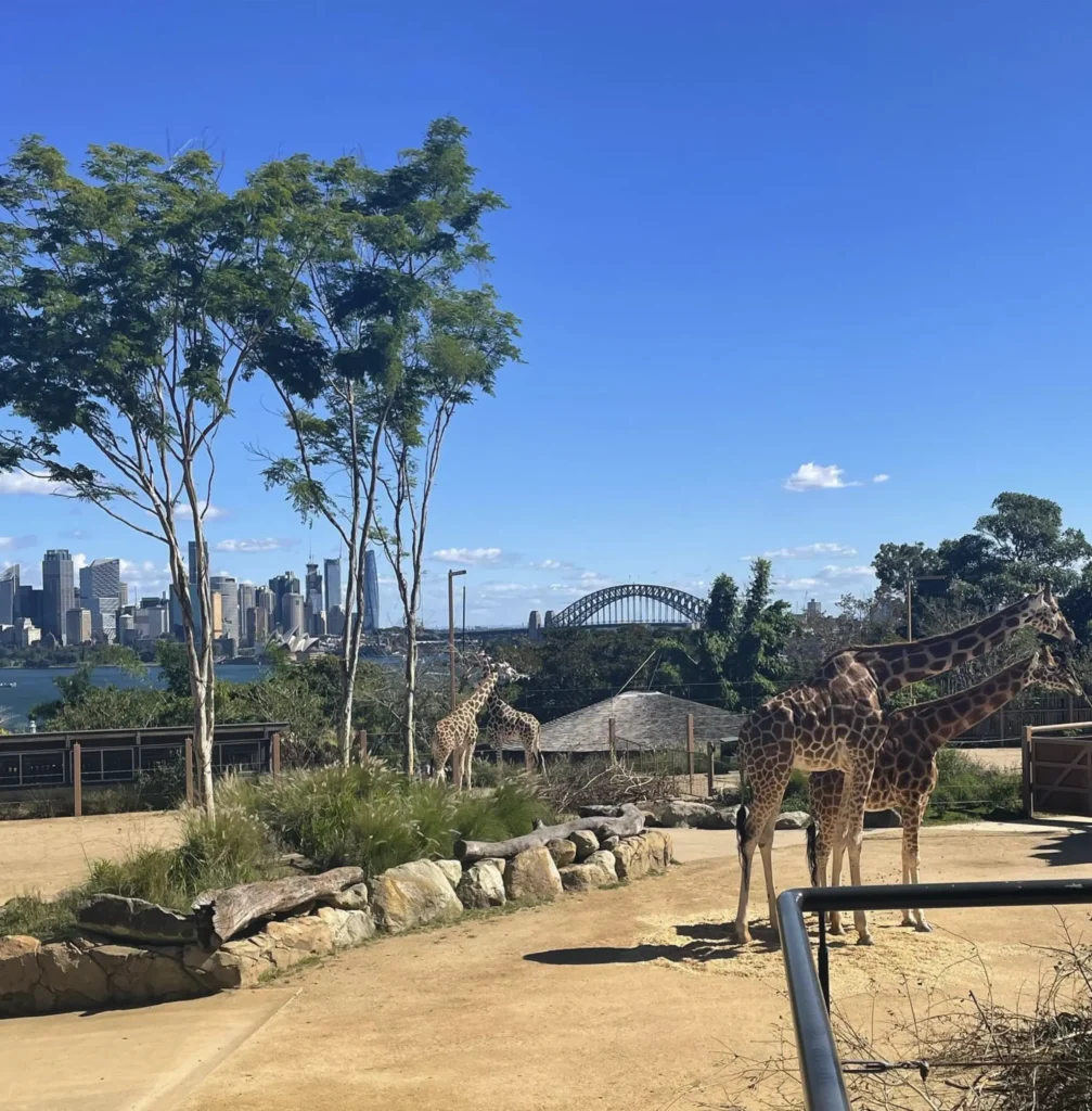 Taronga Zoo