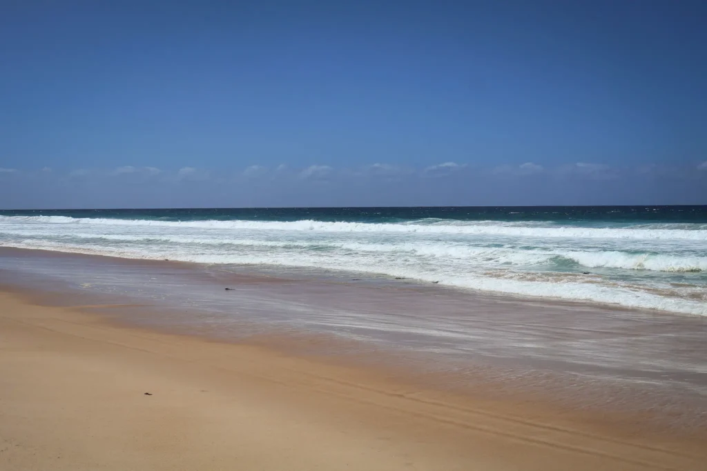 Tasmania surfing beach